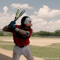 rawlingstigers baseball mlb player ready GIF