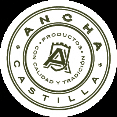 ANCHACastilla giphyupload GIF