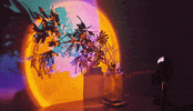 GIF by Reyes