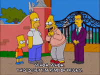 homer simpson GIF