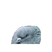 DatFatGat giphygifmaker Sticker
