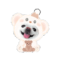 Bear くま Sticker