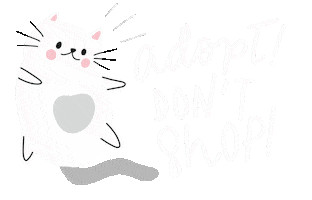 thebigbrowneyes love cats kittens adopt Sticker