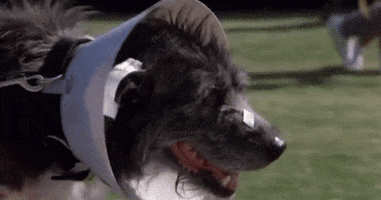 one crazy summer 80s GIF by Warner Archive