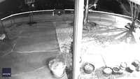Explosion at West Virginia Chemical Plant Captured on Home Security Camera