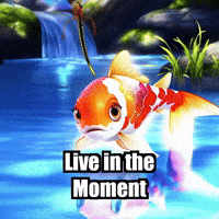 Wisdom Live In The Moment GIF by TheConfishius