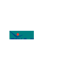 Logo Sticker by TSV Falkensee e.V.