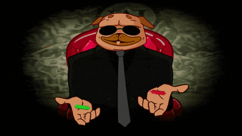 Pug Matrix GIF by BigBrains