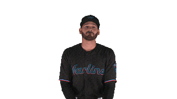 miami marlins Sticker by MLB