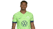 Football Hello Sticker by VfL Wolfsburg