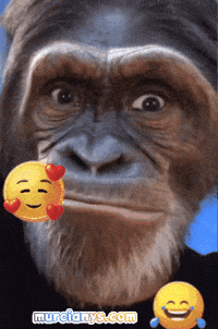 Humor Mono GIF by Murcianys LLC