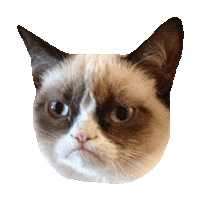 monday fml STICKER by imoji