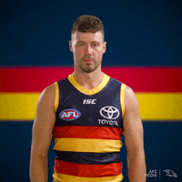 Afl Afc Media GIF by Adelaide Crows