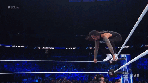 roman reigns sport GIF by WWE
