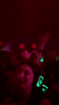 Party Fun GIF by RGB Disco