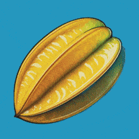 Comida Fruit GIF