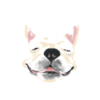 French Bulldog Fun Sticker