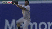 Sport Wow GIF by MLB