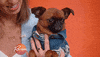 rachaelrayshow funny cute dog food GIF