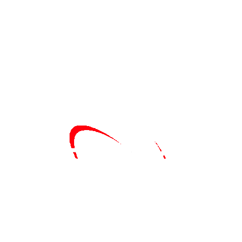 SeletronPerformance giphygifmaker racing performance tuning Sticker