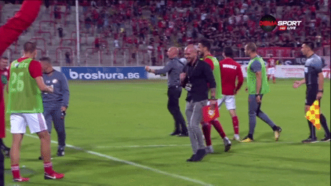 celebration coach GIF by CSKA Sofia FC