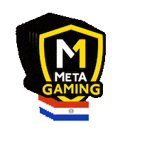 Paraguay Juegos Sticker by Meta Sports Py