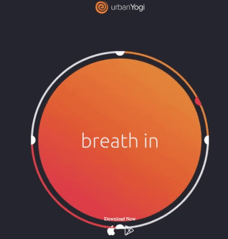 pnnnnn giphygifmaker GIF