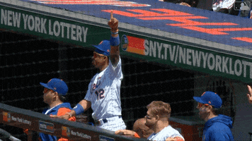 Celebrate Major League Baseball GIF by New York Mets