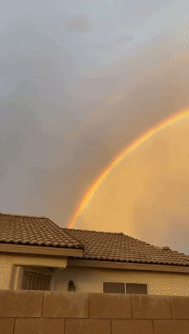 Las Vegas Rainbow GIF by Storyful