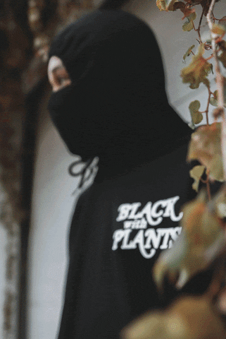 Plants Kyle GIF by Plant Economy