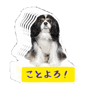 Happy Dog Sticker