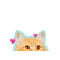 Cat Heart Sticker by Atome.SG
