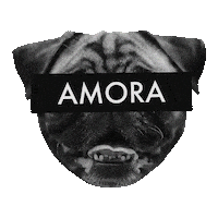Zeedog Mafia Sticker by Amora Pug Brasil