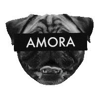 Zeedog Sticker by Amora Pug Brasil