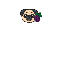 Zeedog Sticker by Amora Pug Brasil