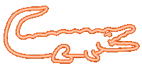Neon Orange Sticker by University of Florida
