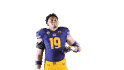 Goode19 Sticker by Cal Athletics