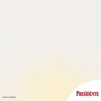 BrandyPresidente_MX party mexico fiesta amigos GIF