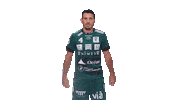 Gagner Green Team Sticker by USAM NIMES GARD