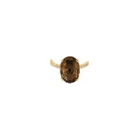 Gold Ring Sticker by The SISS BLISS
