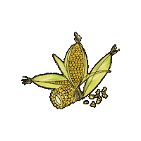 Korean Sticker by vank