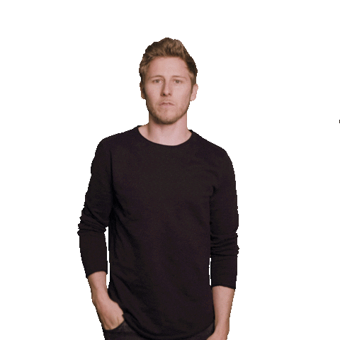 Hanssultan Sticker by skipp