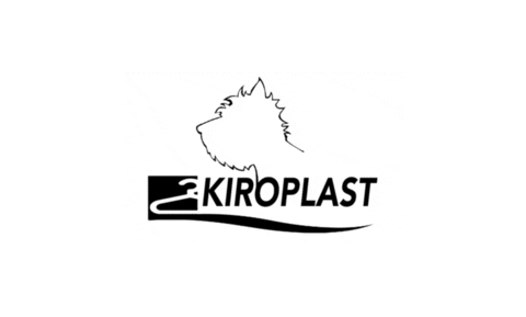 kiroplast giphyupload kiroplast Sticker