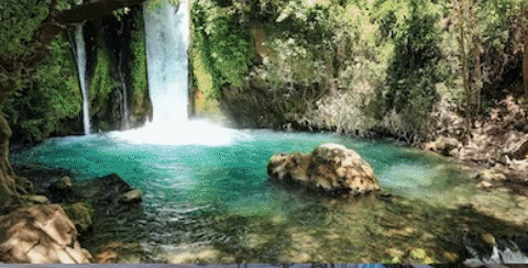 yaronzilberstein giphygifmaker GIF