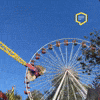 Wiesn GIF by Linz News