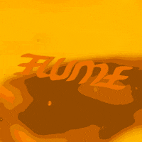 world champion percy GIF by Future Classic