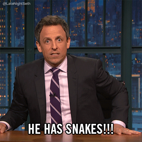 seth meyers snakes GIF by Late Night with Seth Meyers