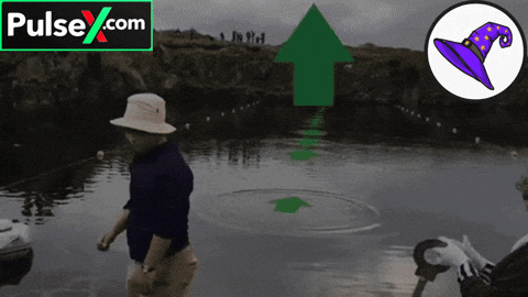 Crypto Cryptocurrency GIF