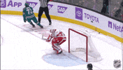 Happy Red Wings GIF by NHL
