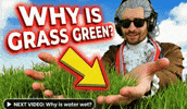 Pointing Out The Obvious Green Grass GIF